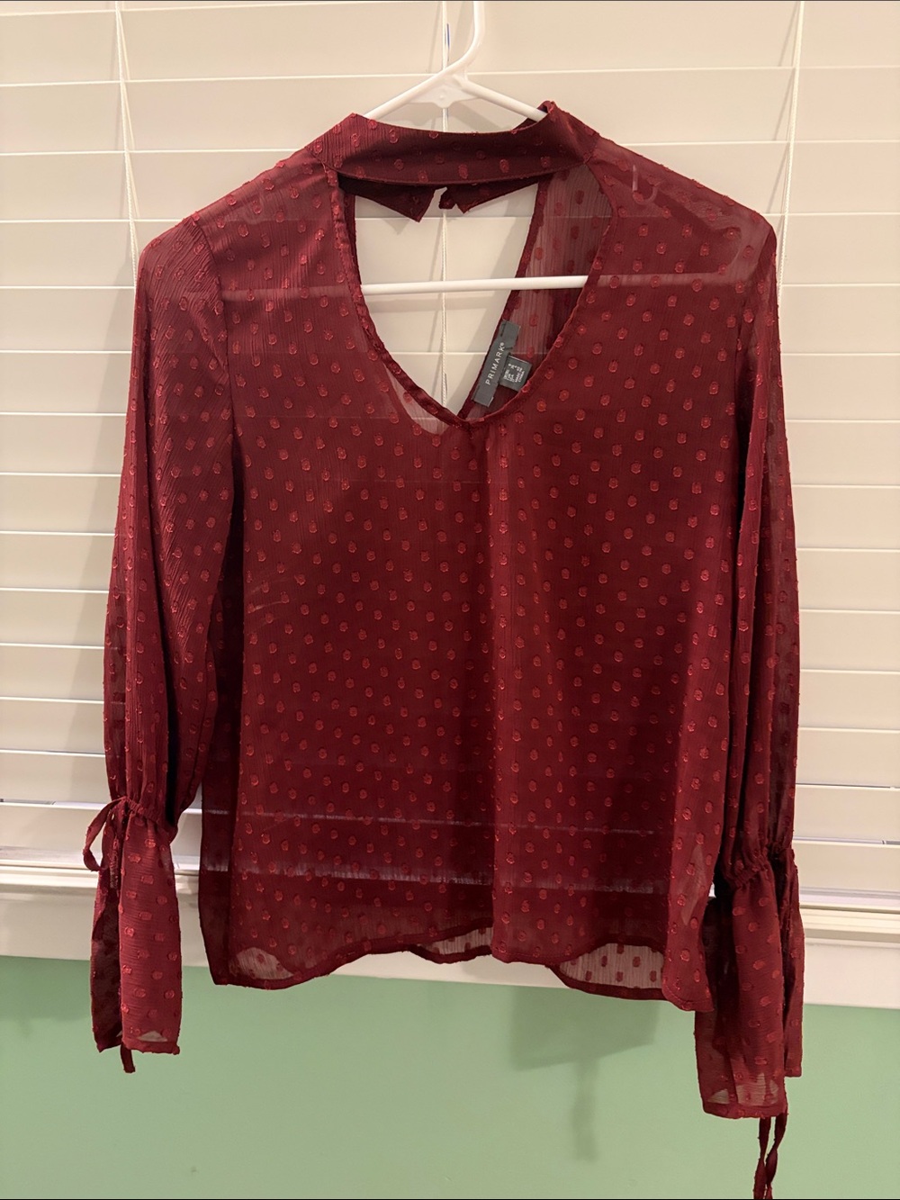 Primark Burgundy Sheer V-Neck Long-Sleeve Blouse